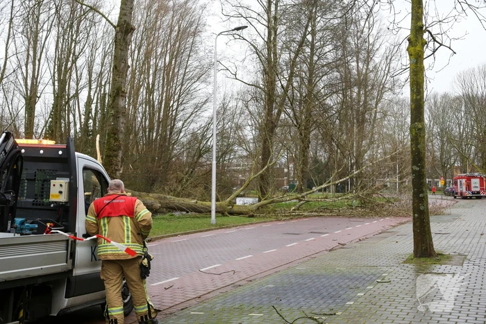 Brandweer zaagt omgevallen boom klein