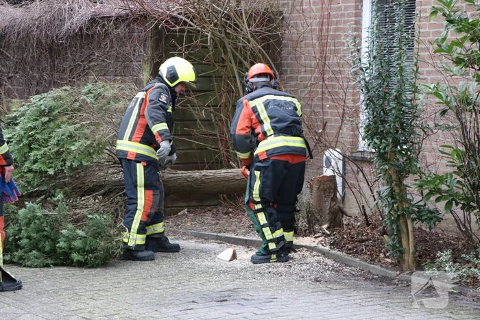 Brandweer zaagt omgewaaide boom in stukken