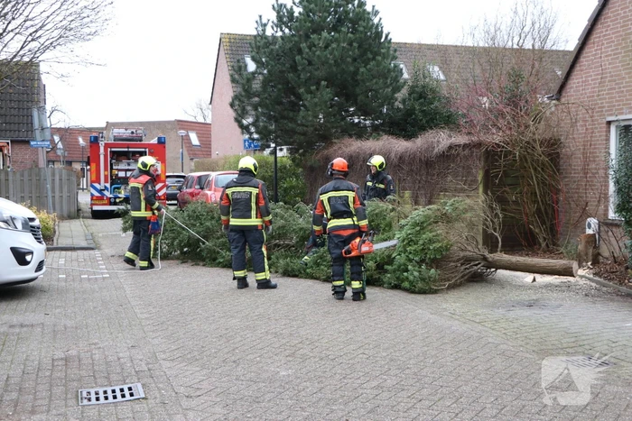 Brandweer zaagt omgewaaide boom in stukken