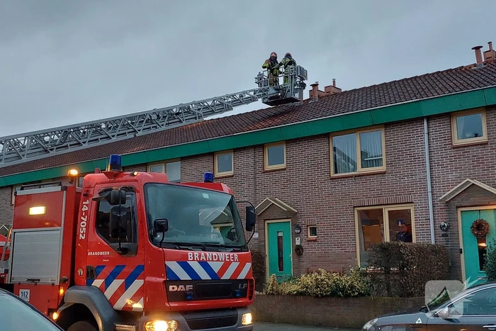 natuur de dennen bussum