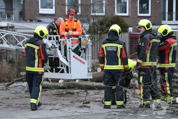 natuur curielaan voorschoten