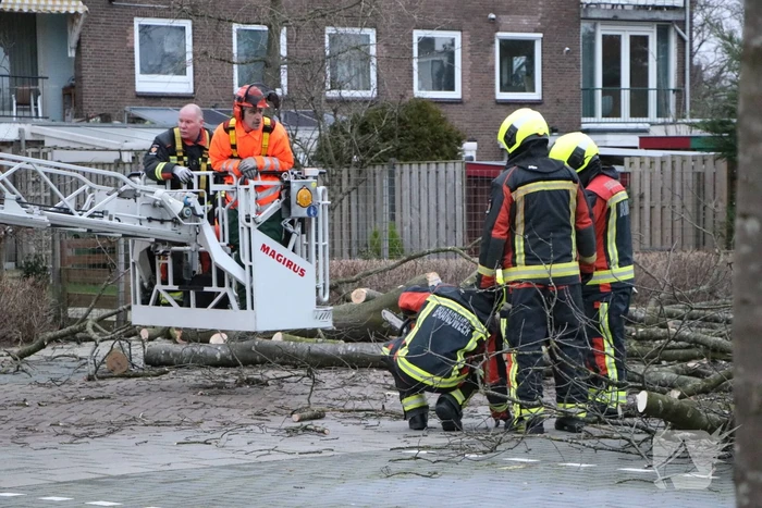 Hulpdiensten handen vol aan omvallende boom