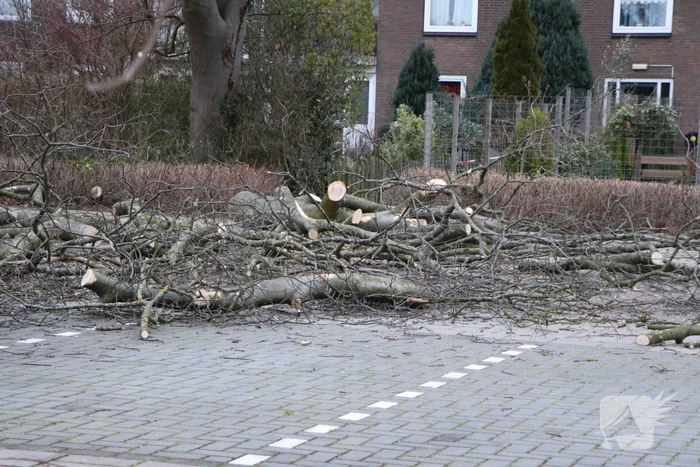 Hulpdiensten handen vol aan omvallende boom
