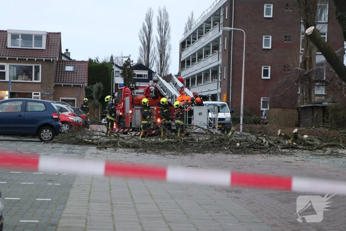 Hulpdiensten handen vol aan omvallende boom