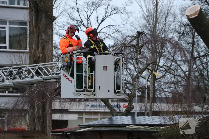 Hulpdiensten handen vol aan omvallende boom