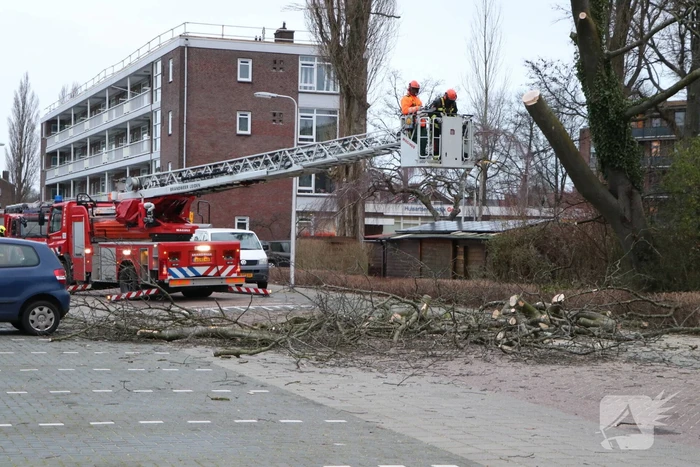 Hulpdiensten handen vol aan omvallende boom