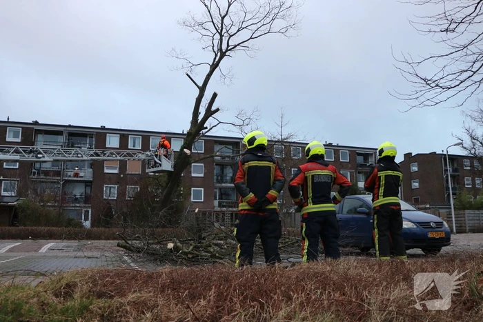 Hulpdiensten handen vol aan omvallende boom