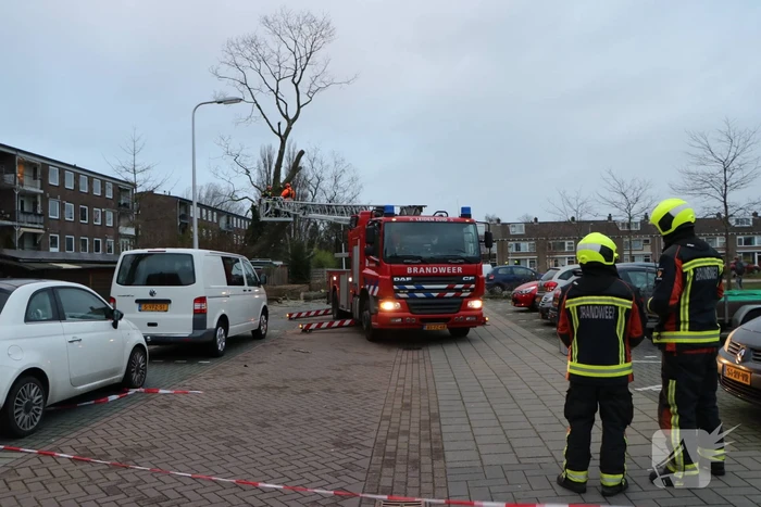 Hulpdiensten handen vol aan omvallende boom