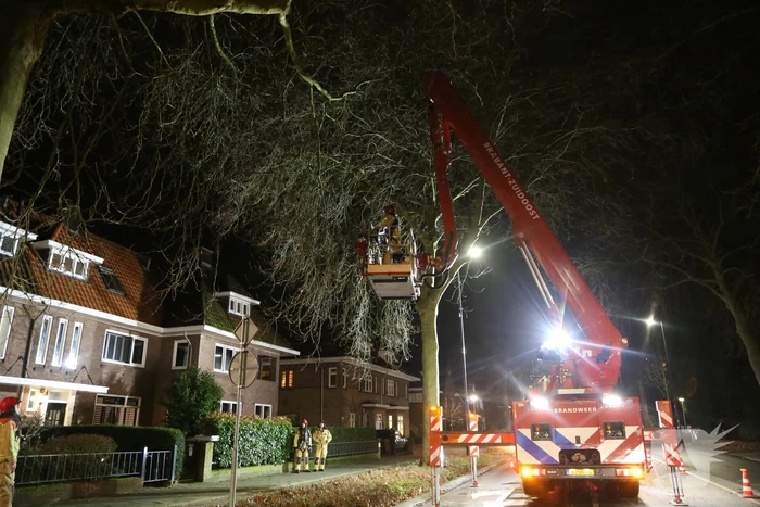Brand in schoorsteen van woning