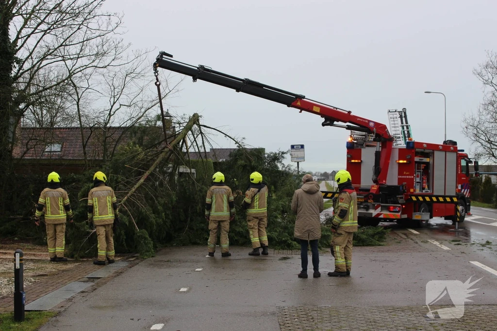 Kloosterweg Nieuws Noordgouwe 