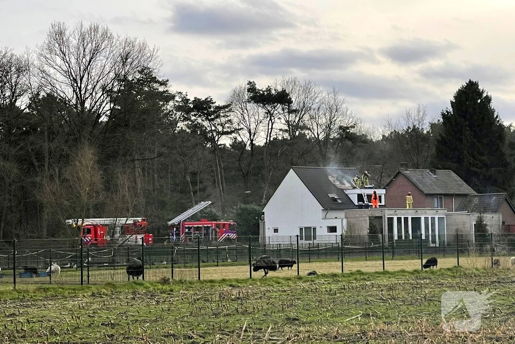 Eksterlaan Lieshout 112 