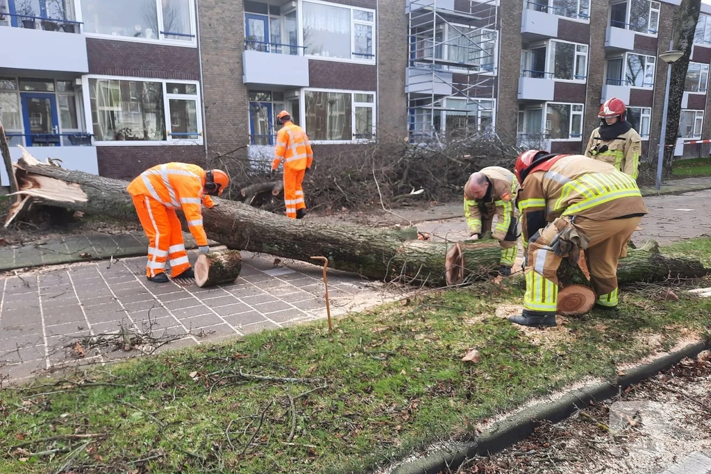H. Gerhardstraat - s155 Nieuws Zaandam 
