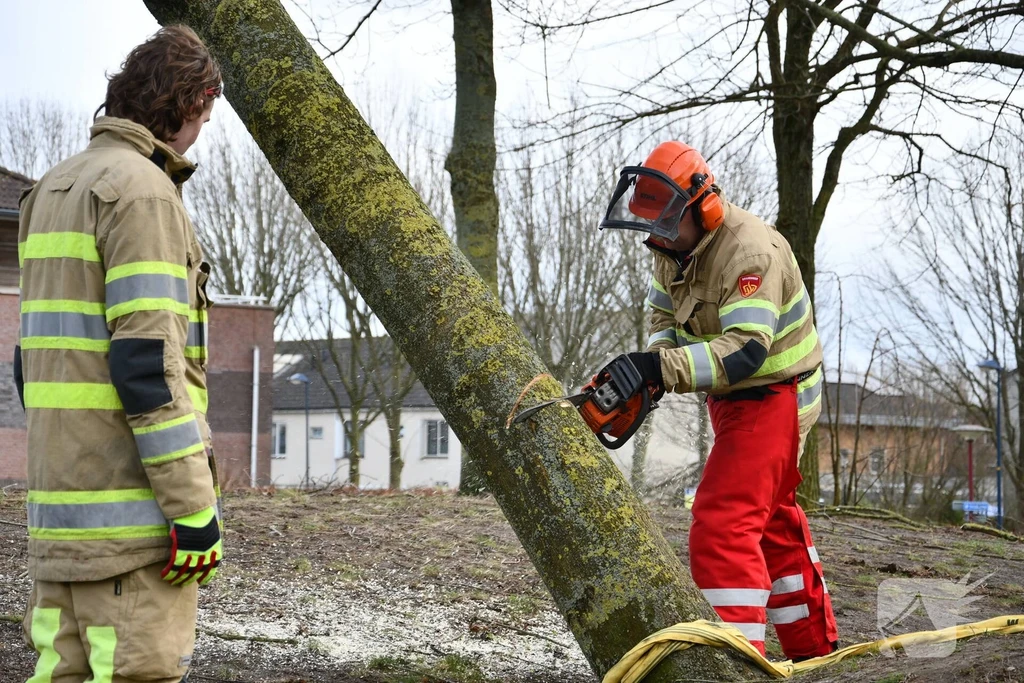 Lelystad