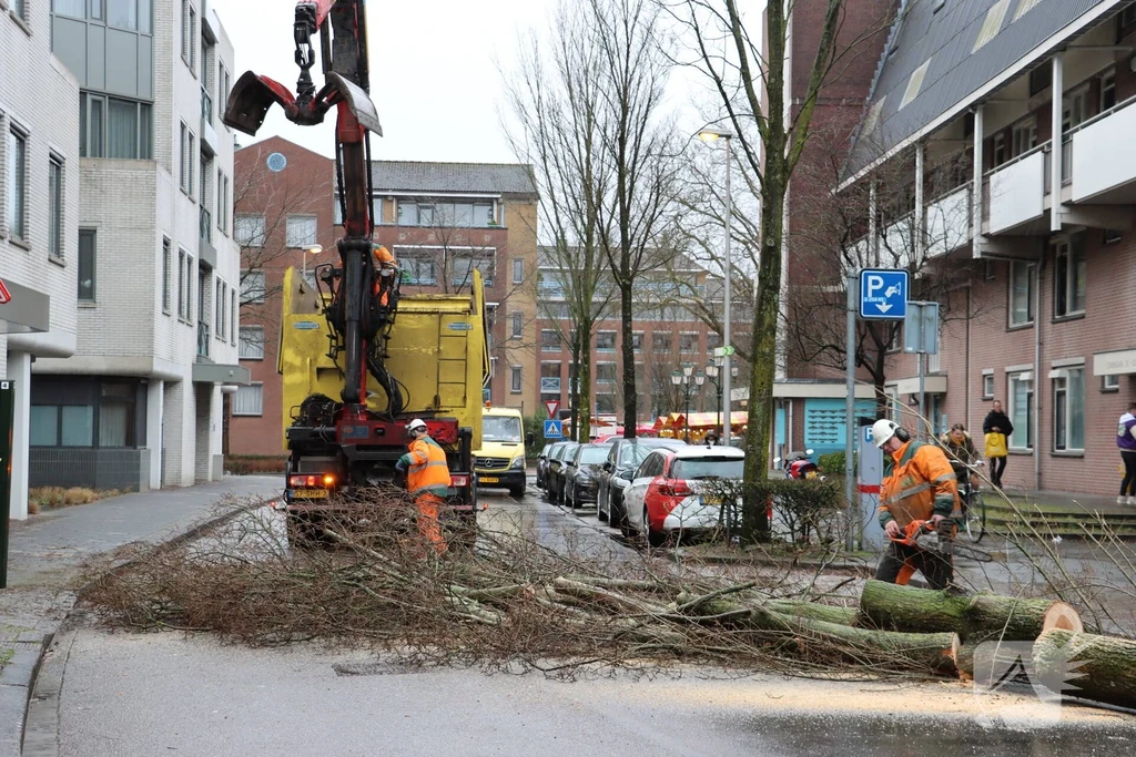 Olmenlaan Bussum 112 