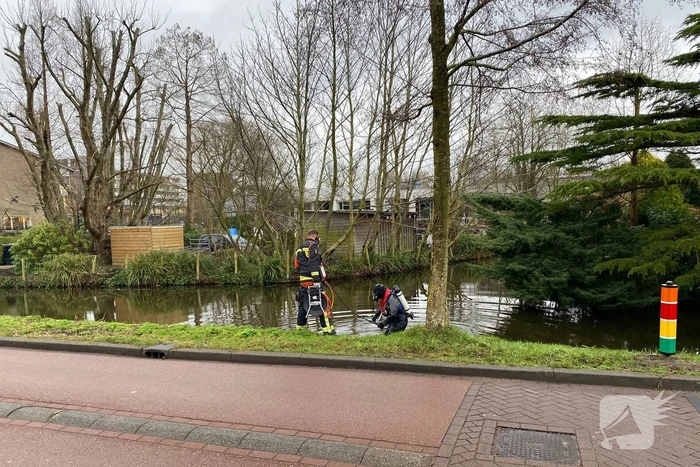 Duiker zoekt in water naar gestolen telefoon