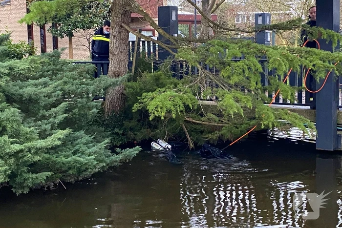 Duiker zoekt in water naar gestolen telefoon