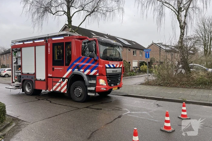 Kat uit woning gehaald na brand in keuken