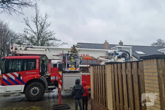 Baasje redt kat van het dak