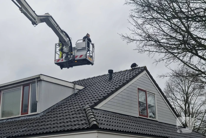Baasje redt kat van het dak