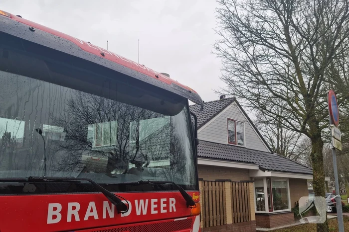 Baasje redt kat van het dak