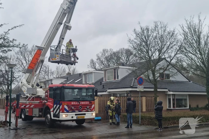 Baasje redt kat van het dak