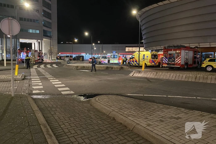 nieuws schorpioenstraat rotterdam