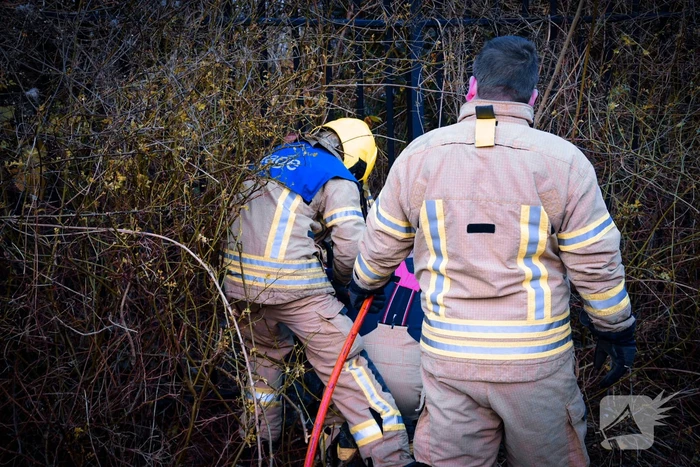 Brandweer redt ree uit hek