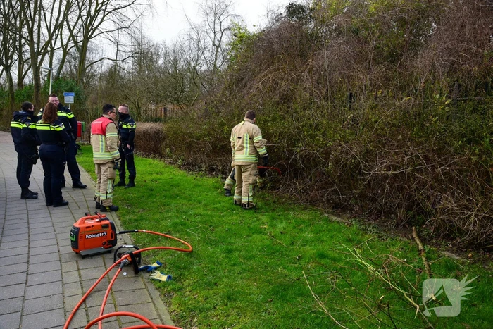 Brandweer redt ree uit hek