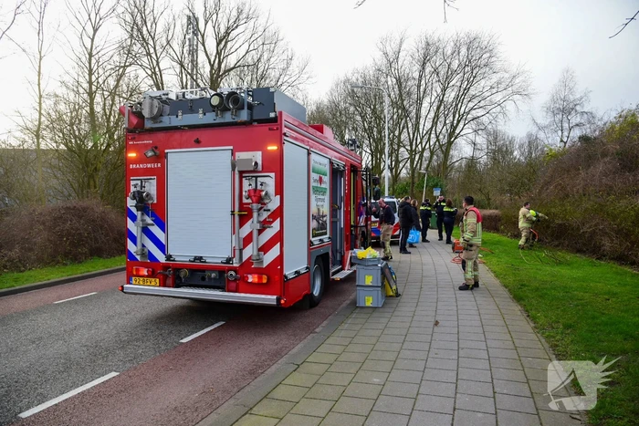 Brandweer redt ree uit hek