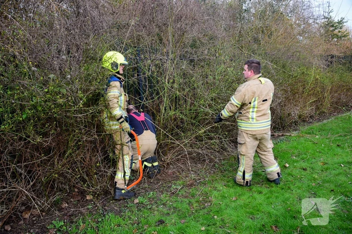 Brandweer redt ree uit hek