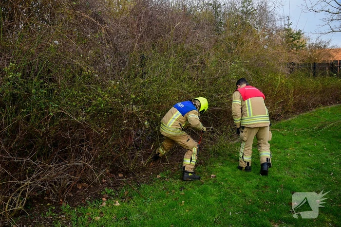 Brandweer redt ree uit hek