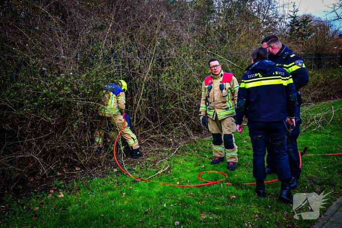 Brandweer redt ree uit hek