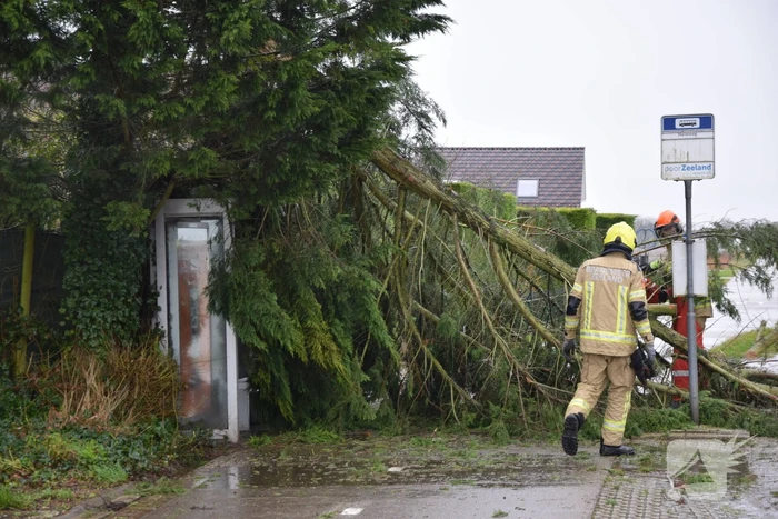 Boom valt op bushokje en fietspad