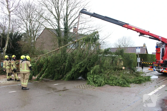 Boom valt op bushokje en fietspad