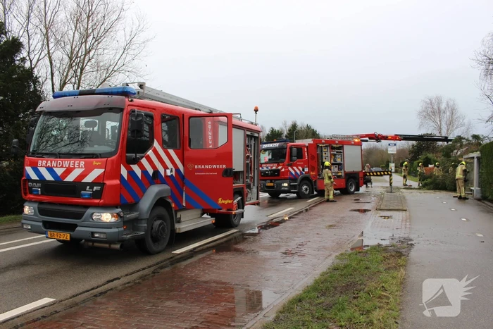 Boom valt op bushokje en fietspad