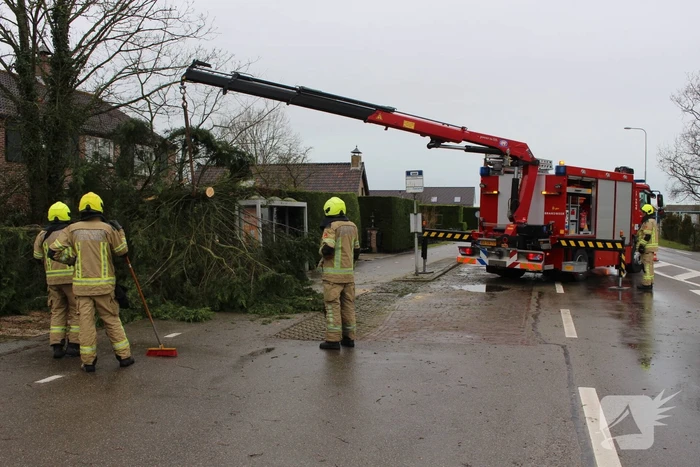 Boom valt op bushokje en fietspad