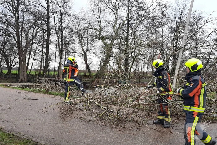 Boom valt over weg heen