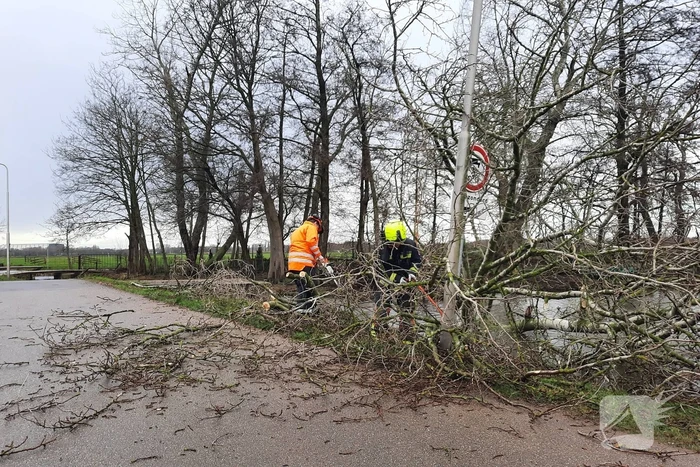 Boom valt over weg heen