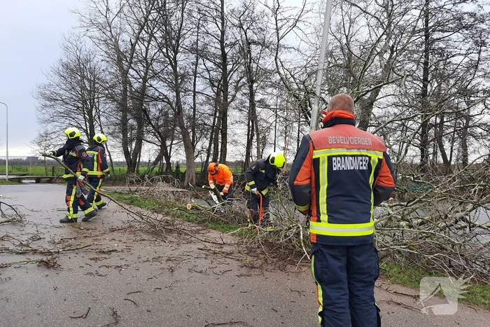 Boom valt over weg heen