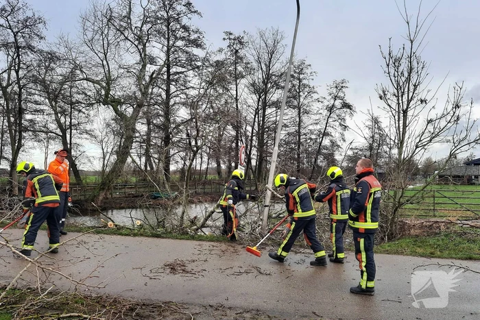 Boom valt over weg heen