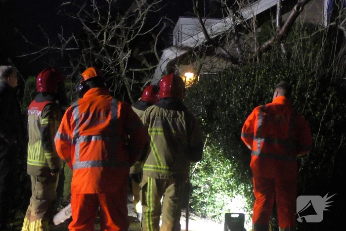 Grote tak breekt van boom