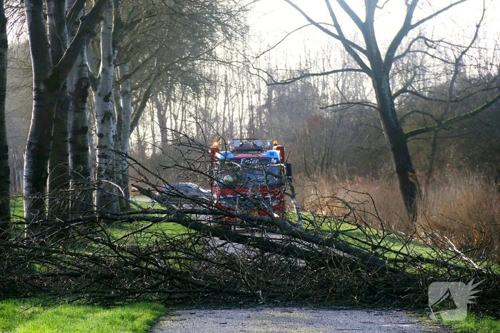 Omgewaaide boom verspert weg