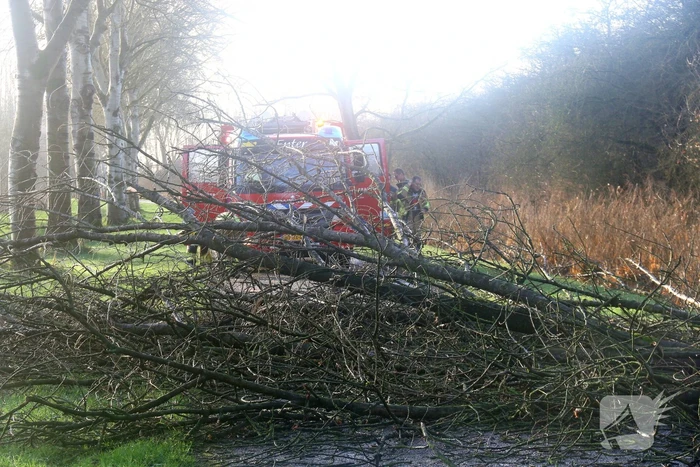 Omgewaaide boom verspert weg