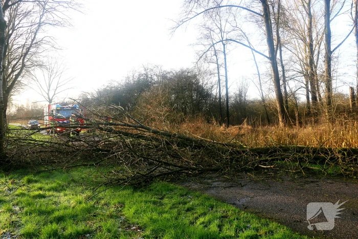 Omgewaaide boom verspert weg
