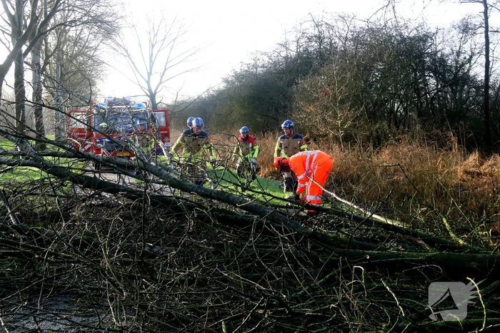 Omgewaaide boom verspert weg