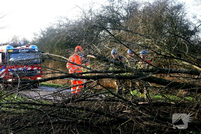 Omgewaaide boom verspert weg