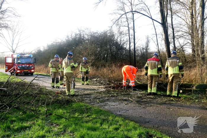 Omgewaaide boom verspert weg