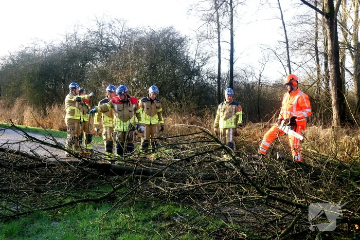 Omgewaaide boom verspert weg