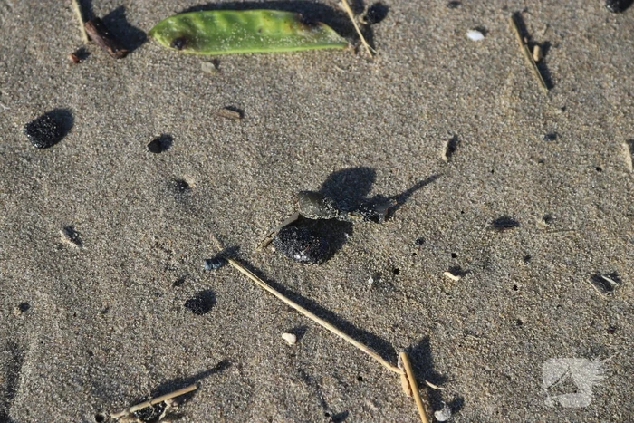 Meerdere bolletjes olie op strand aangetroffen