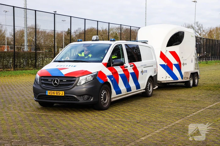 Zoekactie vermiste Martin den Uijl (46) hervat in bosgebied Birkhoven
